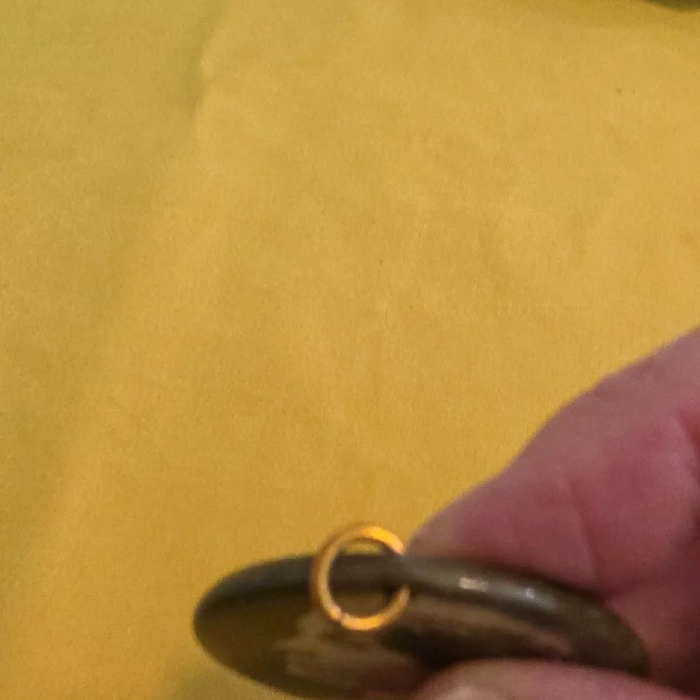 Vintage Commemorative Pendant w/ Frances Elizabeth Caroline Willard (1839–1898) - Picture 4 of 5